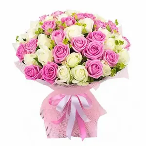 Мои Симпатии